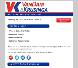 Van Dam & Krusinga Newsletter